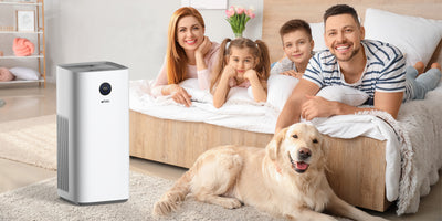 The Benefits of Home Air Purifiers