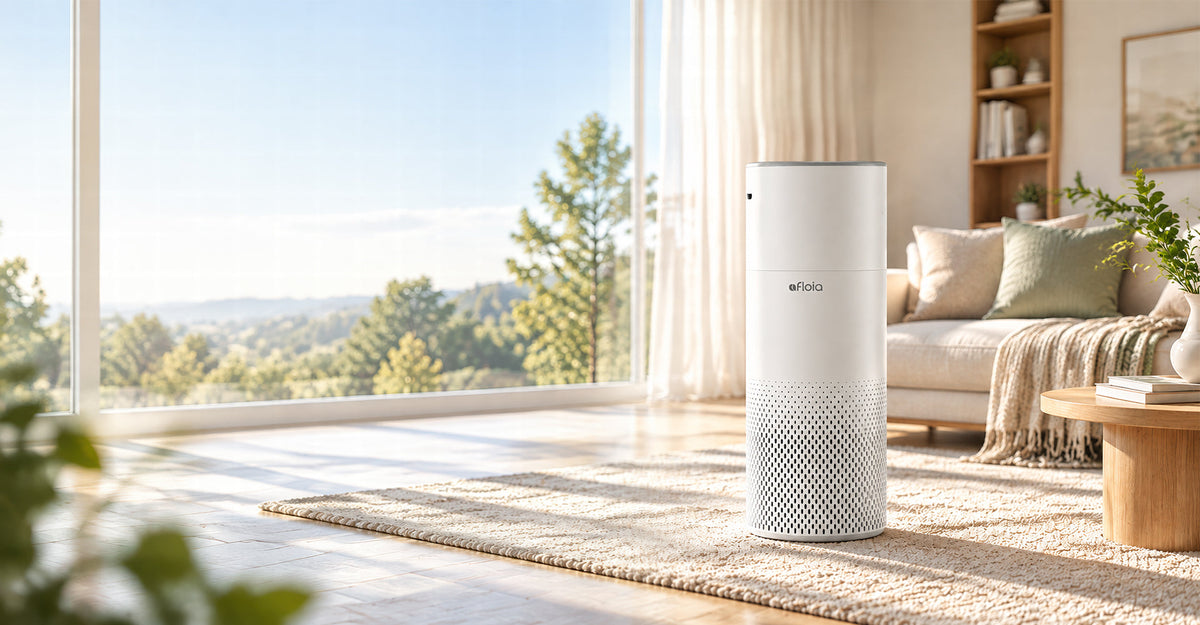 2-in-1 Air Purifier & Humidifier Combos
