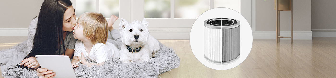 Air purifier + Replacement filter