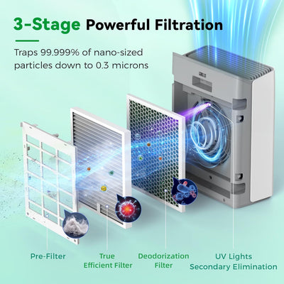 Afloia Europa Original 3-Stage Filter