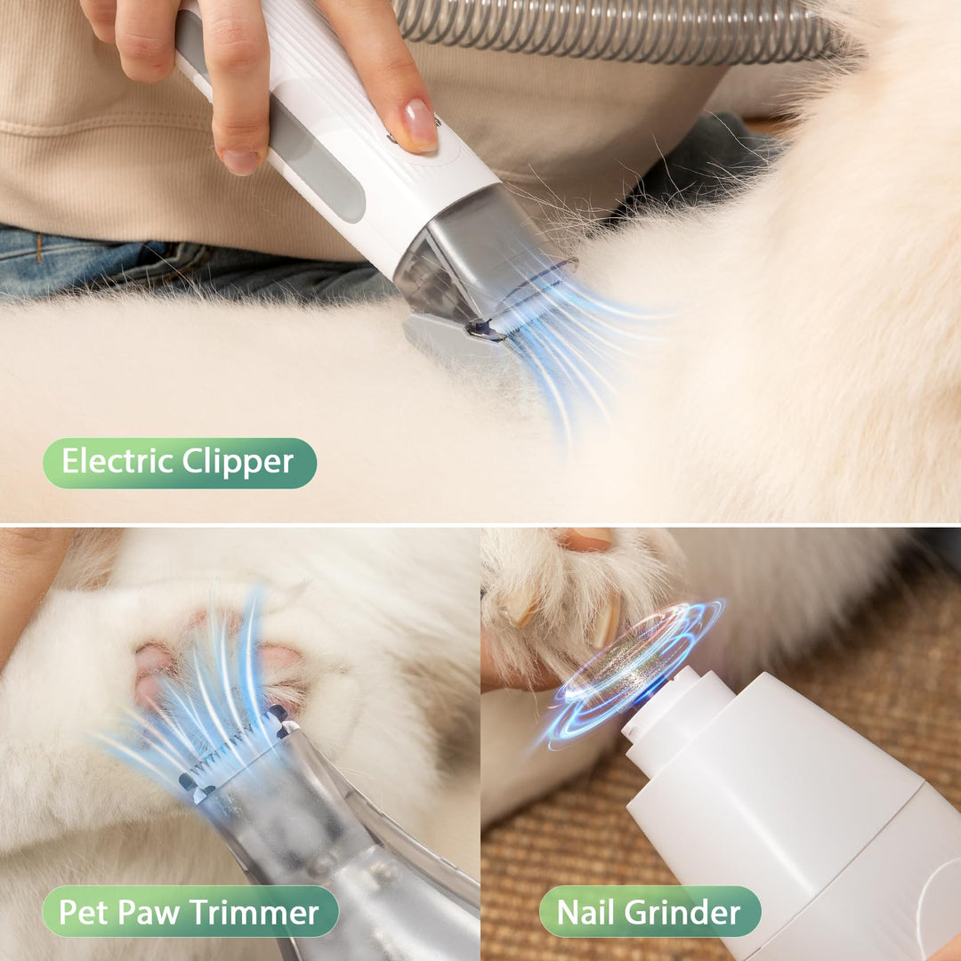 Afloia LM1 Dog Grooming Vacuum