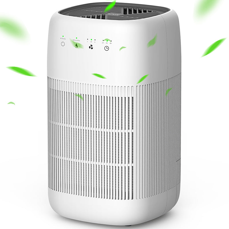 Q10 Air purifier & Dehumidifier