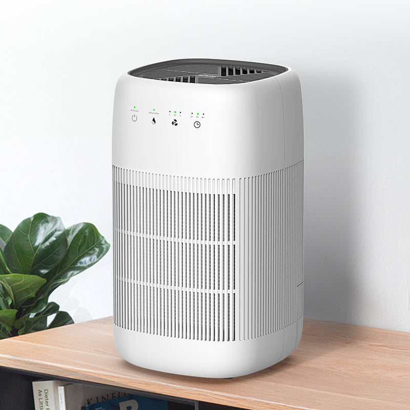 Q10 Air purifier & Dehumidifier