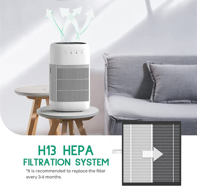 Q10 HEPA Replacement Filter